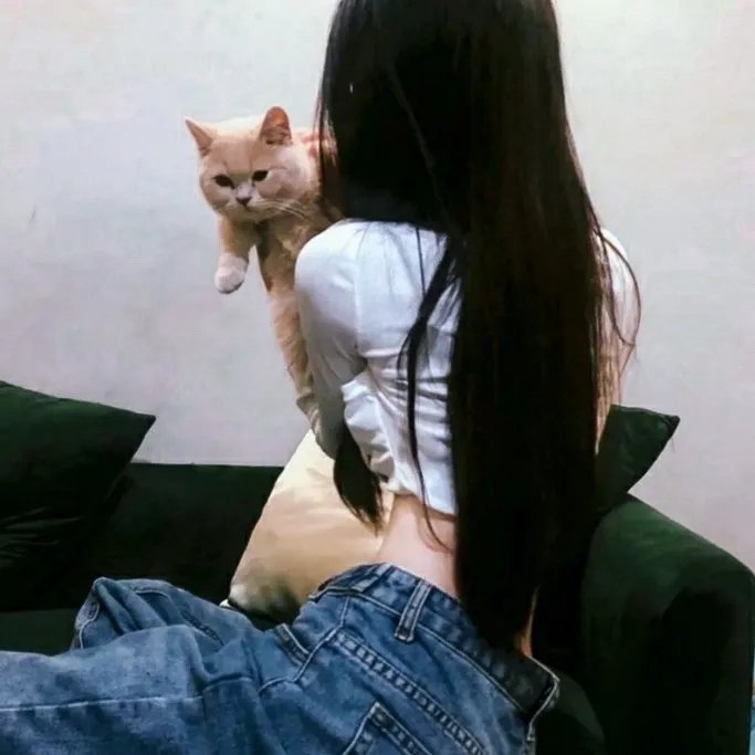 碧血丹砂